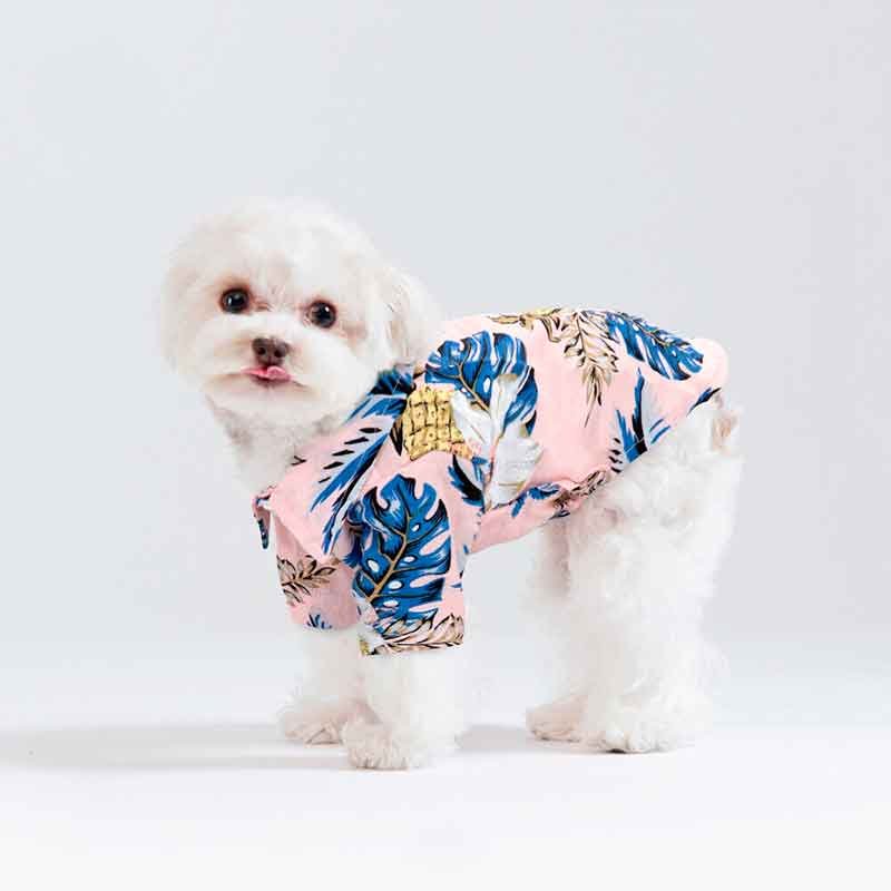 Guayabera-perro-rosa-7-4
