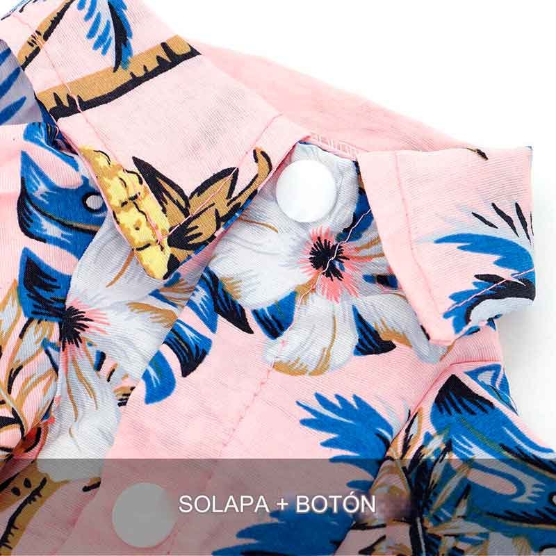 Guayabera-perro-rosa-7-8
