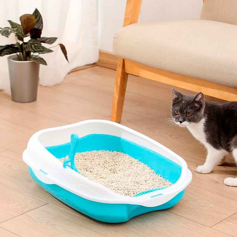 caja-Arena-Gatos-bierta-7-16
