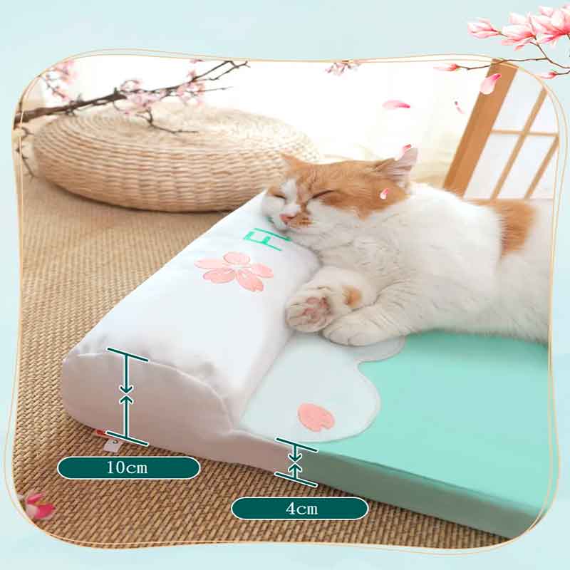 cama-gato-perro-Verano-Colchón-4