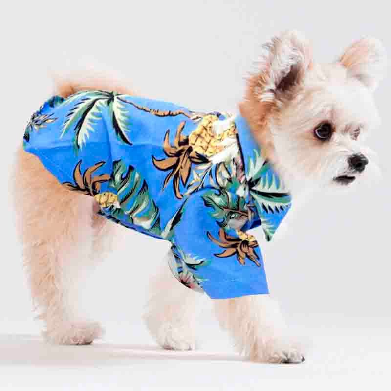 guayabera perro celeste 1