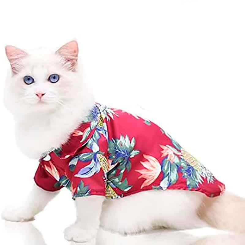 guayabera-perro-rojo-7-1