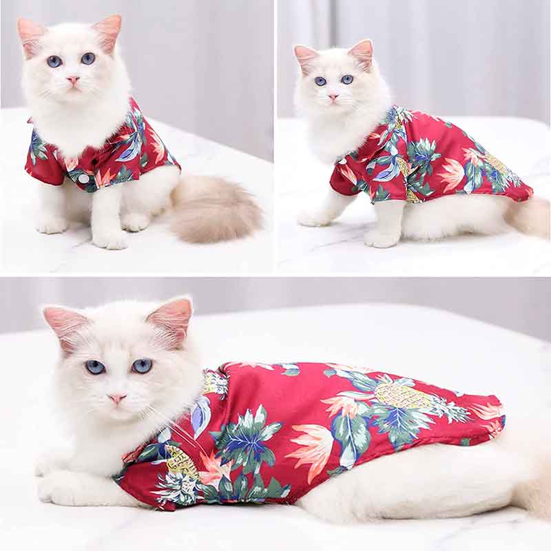 guayabera-perro-rojo-7-3