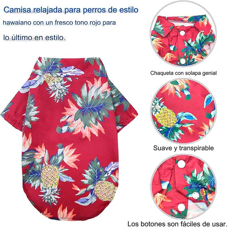 guayabera-perro-rojo-7-4