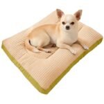 Cama-Perro-Pequeño-Colchón Cama Perro Pequeño Colchón