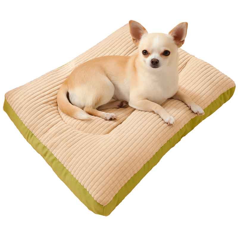 Cama-Perro-Pequeño-Colchón Cama Perro Pequeño Colchón