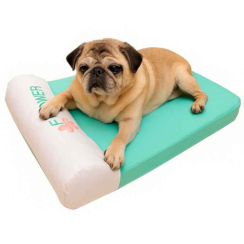 Camas_para_perros_geriátricos
