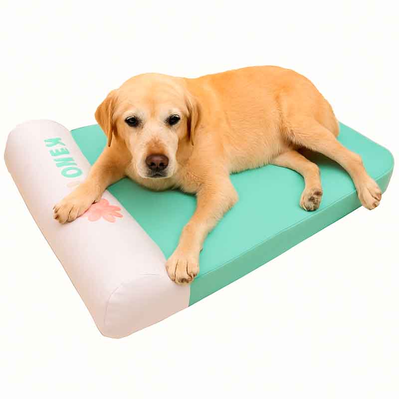 Camas_para_perros_geriatricos_1