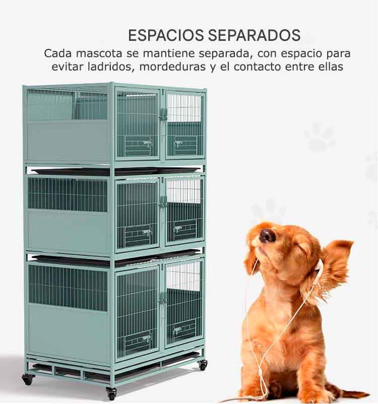 canil-veterinario-1-10 canil veterinario 1 10