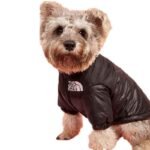 Parka-de-Perro-Dog-Face-13