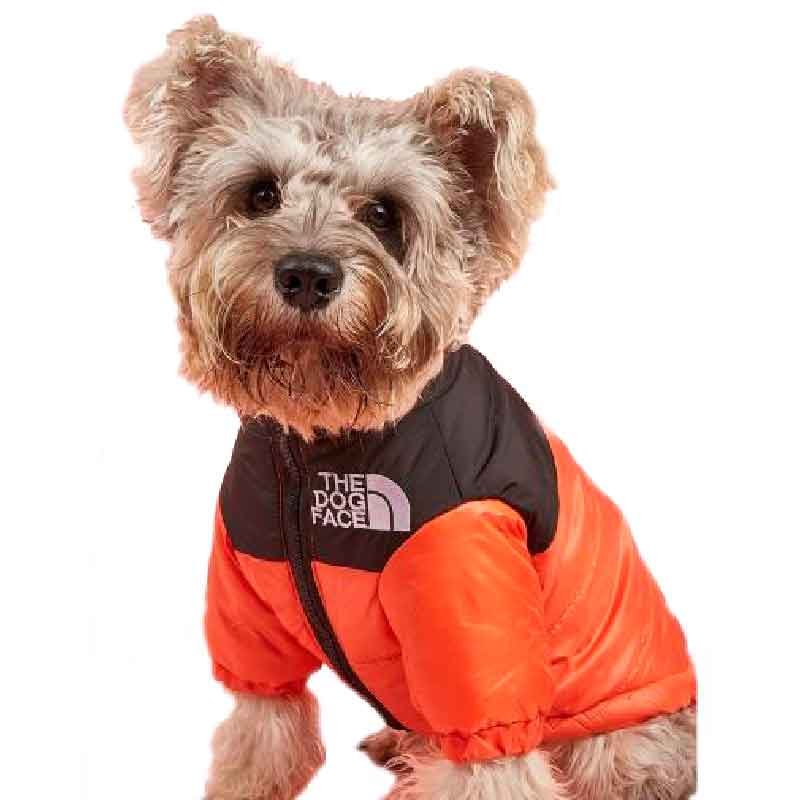 Parka-de-Perro-Dog-Face-14 Parka de Perro Dog Face 14