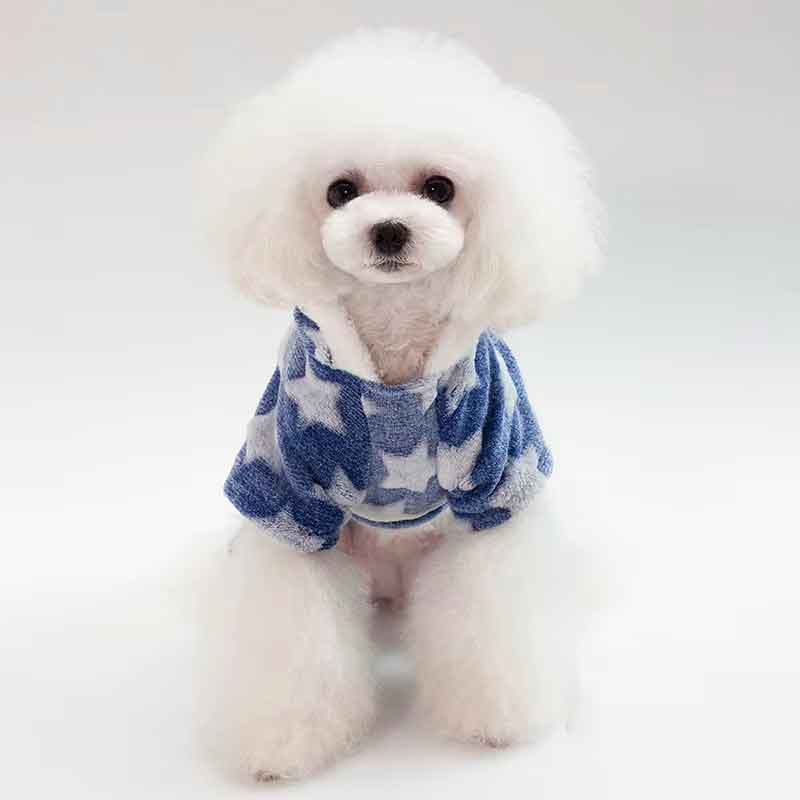 enterito-para-perro-diseno-estrellitas-azul-4