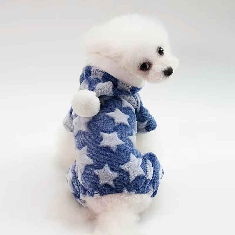 enterito-para-perro-diseno-estrellitas-azul
