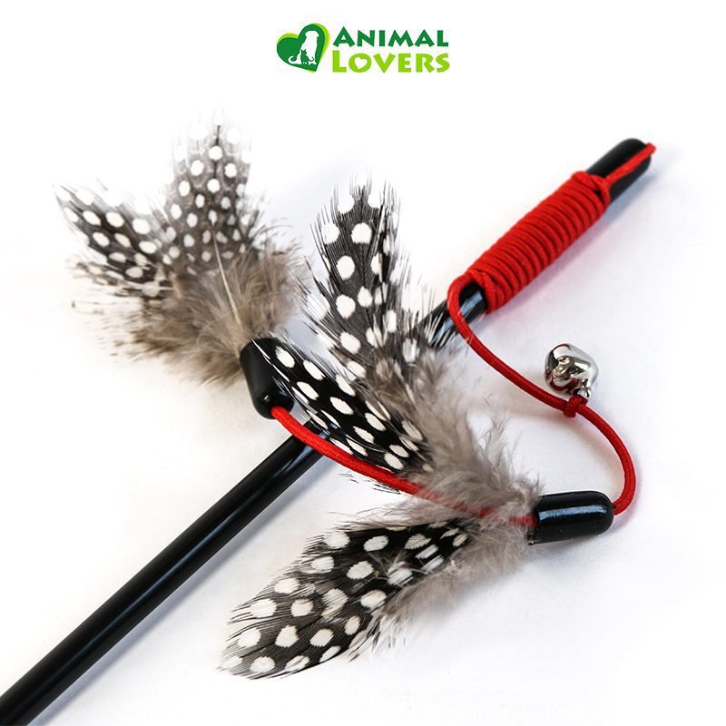 Vara con El�stico y Pluma