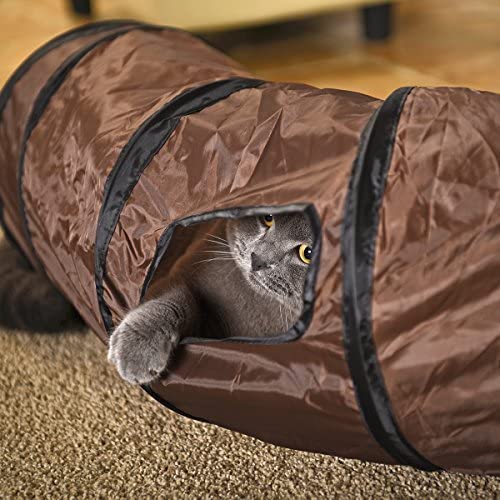 T�nel para Gatos S