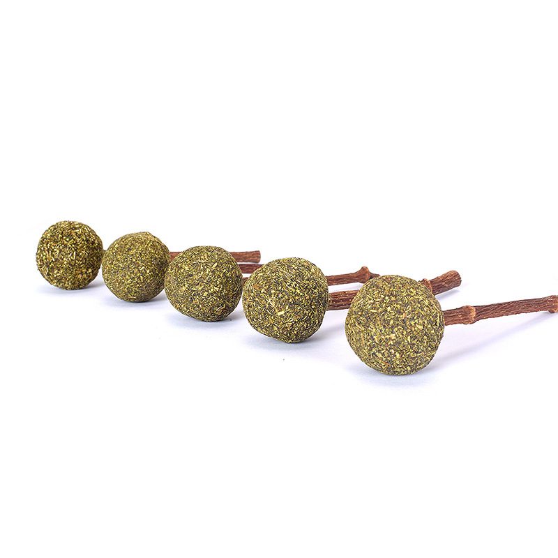 Catnip para gatos 2 en 1