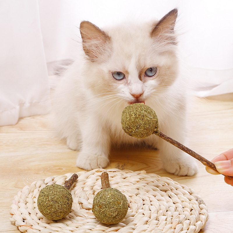 Catnip para gatos 2 en 1