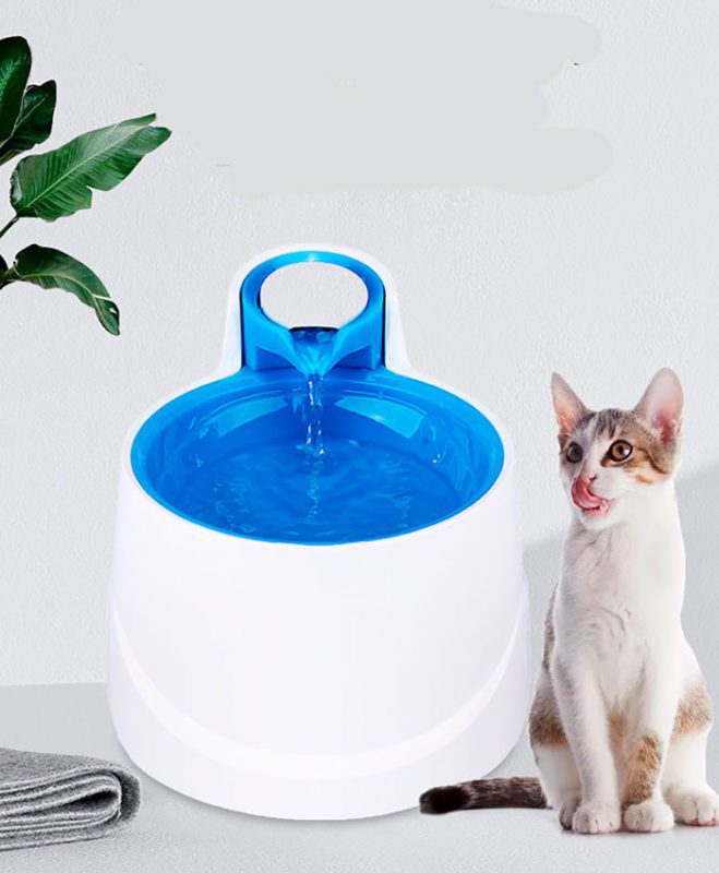 Fuente Agua Perro D6609