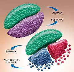 Enzimax �200mg
