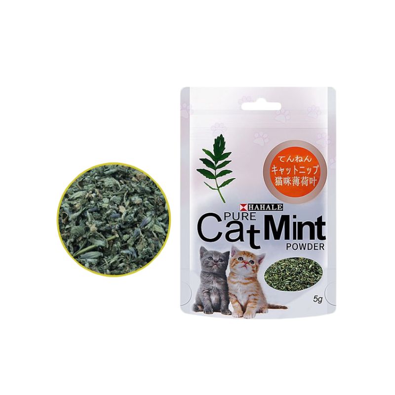 Hierba Gatera Menta para Gatos