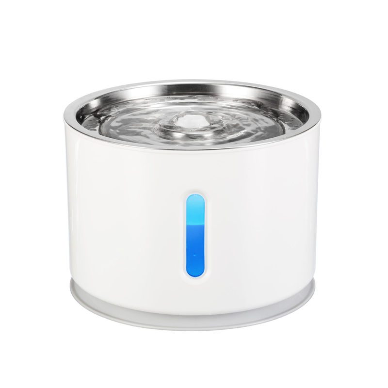 Fuente de Agua de Gatos