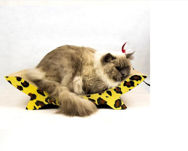 Rascador Cart�n Gatos Reposera
