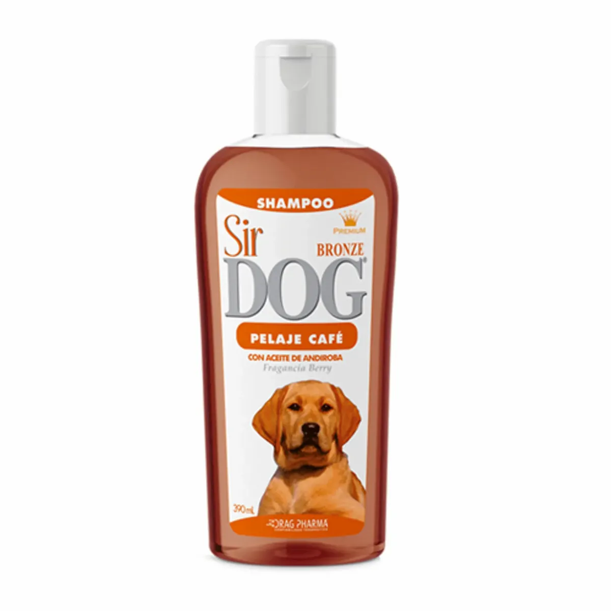 SIR DOG BRONZE