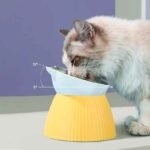 Alimentos para Perros